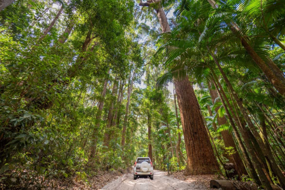 K'gari (Fraser Island) Self Drive